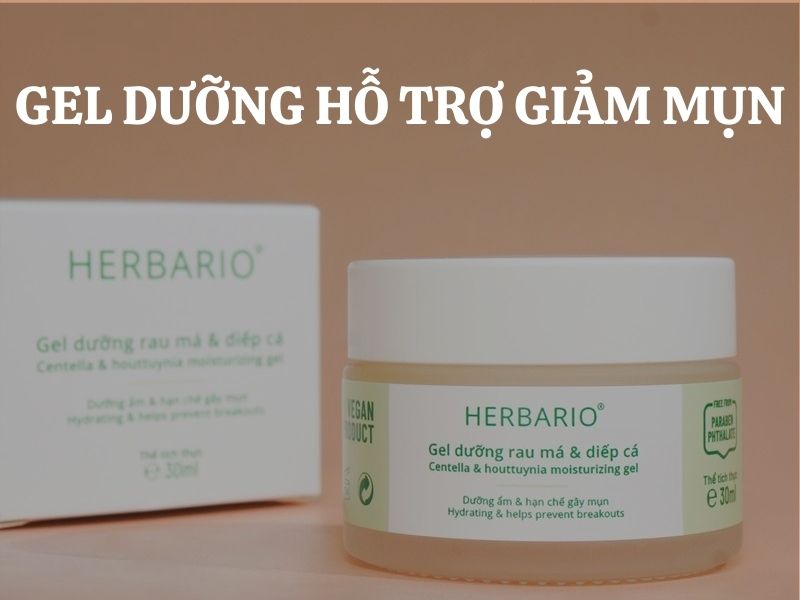 Gợi ý gel dưỡng hỗ trợ giảm mụn hiệu quả từ Rau Má & Diếp Cá